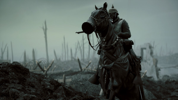 horse in battlefield 1